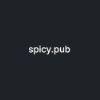 Cc2b1c spicy pub